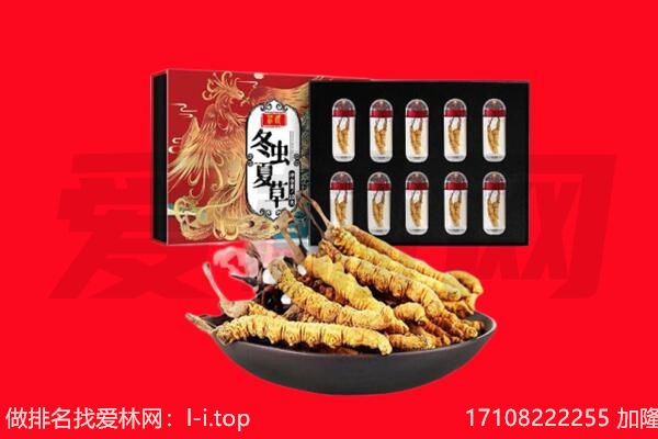 阿坝回收虫草.jpg